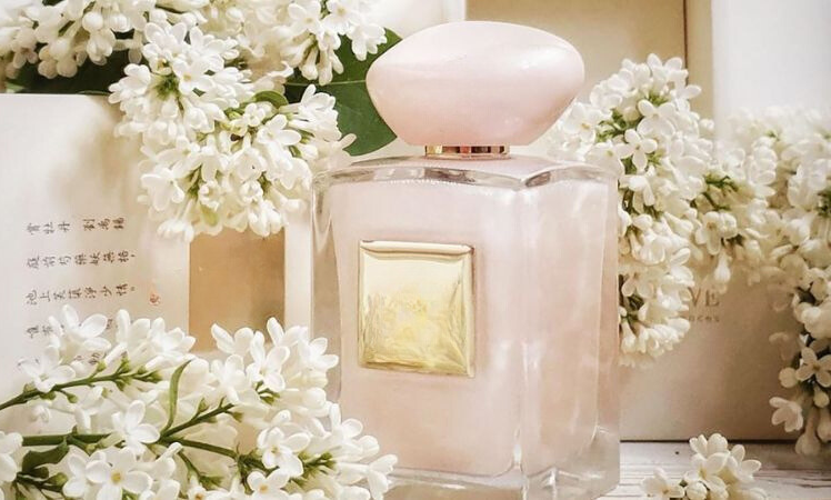 Chuyển giao công nghệ Revskin