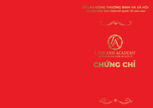 chungchi bia