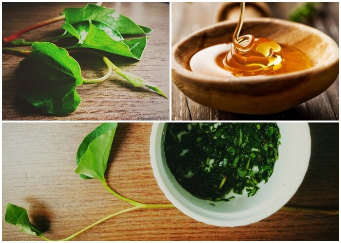 Chuyển giao công nghệ Revskin
