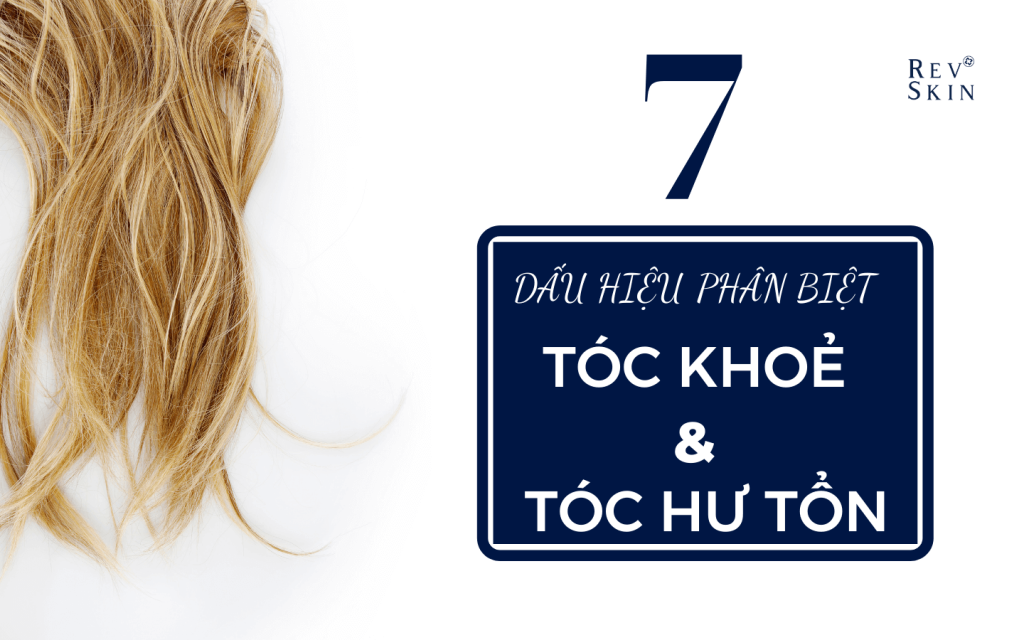 Chuyển giao công nghệ Revskin