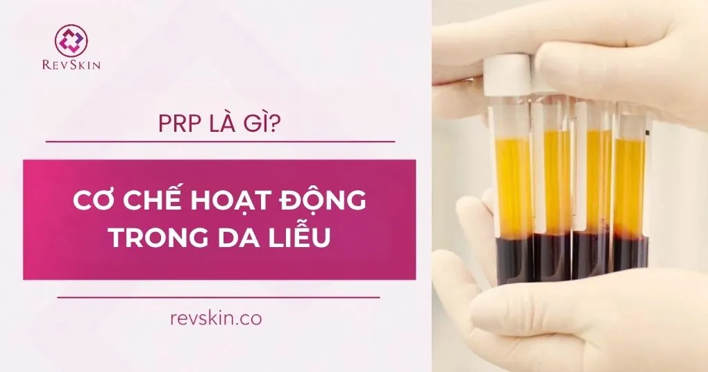 prp hoạt động trong thẩm mỹ