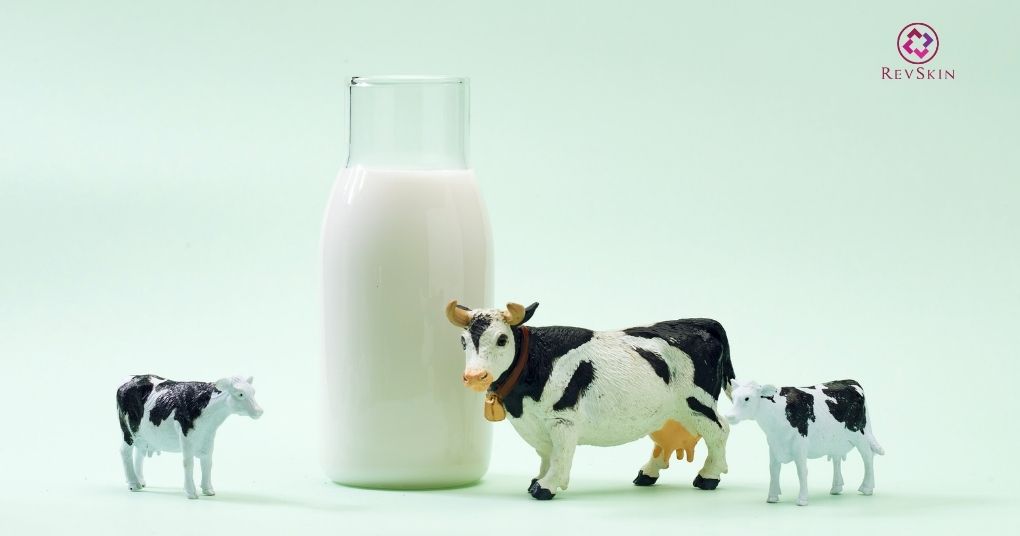 Bị mụn trứng cá kiêng ăn gì và nên ăn gì để cải thiện? sữa bò dễ gây mụn