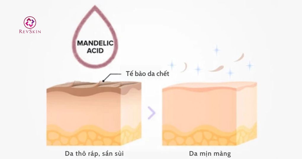 Mandelic Acid: Cơ chế, chỉ định, liều dùng và tác dụng phụ cơ chế hoạt động của mandelic acid