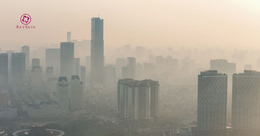 Mụn đầu trắng: Nguyên nhân, vị trí và cách phòng ngừa ô nhiễm môi trường và stress oxy hóa làm mụn đầu trắng nặng hơn