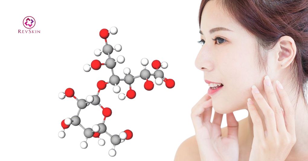 Lactobionic Acid: Chỉ định, liều dùng, tác dụng phụ và lưu ý tác dụng sinh học của lactobionic acid